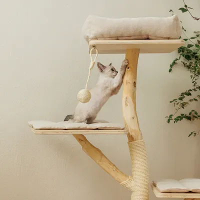 Kratzbaum aus Holz mit Sisalseil, zwei gepolsterte Liegeflächen und Spielball. Katze nutzt den Kratzbaum.