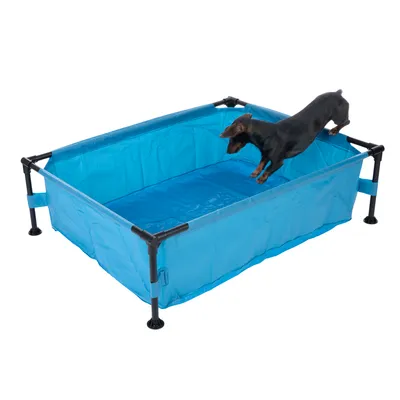 Blå hopfällbar hundpool med stabil metallram. Liten svart hund hoppar i poolen.