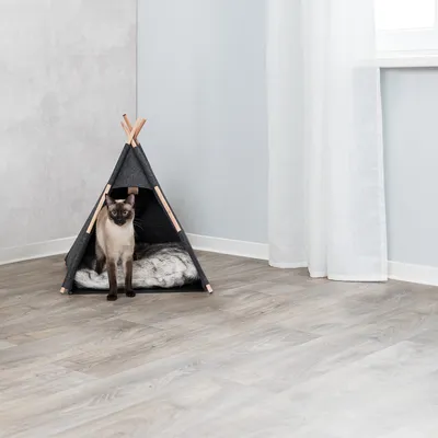 Tenda per gatti grigio scuro con struttura in legno e superficie morbida, su pavimento laminato chiaro. Gatto all'ingresso della tenda.