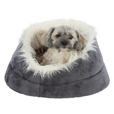 Liten hund sitter i en grå, fluffig husdjursbädd med vit kant av konstpäls.