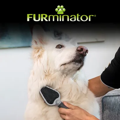 Perro de pelo largo siendo cepillado con un cepillo negro y gris. Arriba aparece la marca FURminator en letras verdes con una huella de mascota.