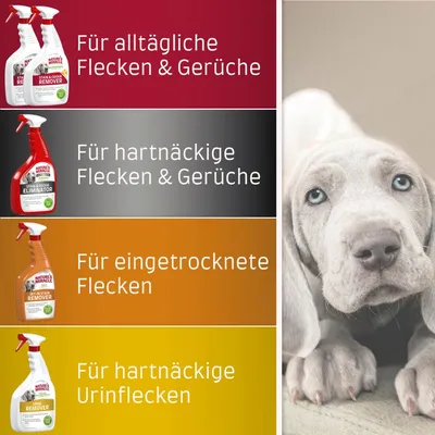 Nature's Miracle Produkte: Für alltägliche Flecken & Gerüche, hartnäckige Flecken & Gerüche, eingetrocknete Flecken und hartnäckige Urinflecken.