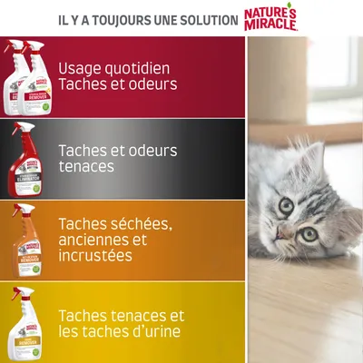 Nature's Miracle : usage quotidien taches et odeurs, taches et odeurs tenaces, taches séchées anciennes et incrustées, taches tenaces et taches d’urine. Chat allongé à droite.