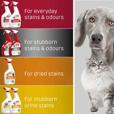 Nature's Miracle Cat & Dog Set-In Stain Remover