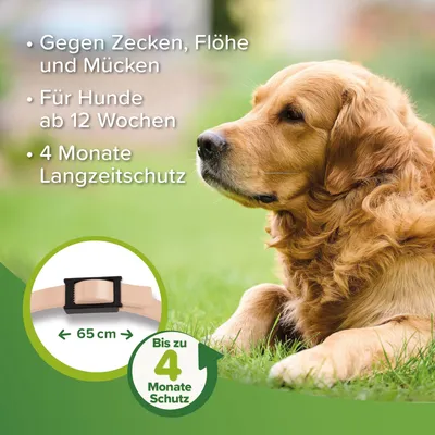 Halsband gegen Zecken, Flöhe und Mücken. Für Hunde ab 12 Wochen. Bis zu 4 Monate Langzeitschutz. Länge: 65 cm.