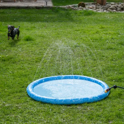 Sininen vesisuihkuallas liitetyllä puutarhaletkulla, vesiruiskut suihkuavat ilmaan. Allas on vihreällä nurmikolla.