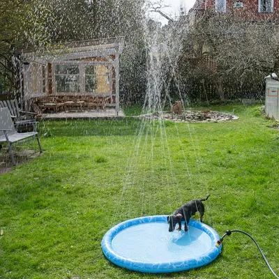 TIAKI Splash Piscină câini