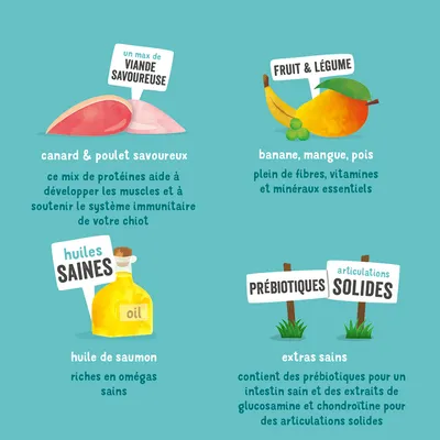 Description du produit : canard et poulet pour les muscles et le système immunitaire, fruits et légumes avec vitamines, huile de saumon riche en oméga, prébiotiques et glucosamine pour des articulations saines.