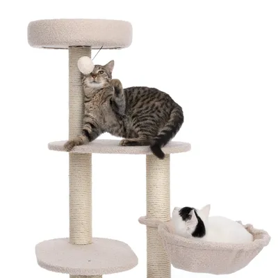 Kratzbaum mit mehreren Ebenen, Sisalstämmen und Hängemulde. Eine Katze spielt mit einem Ball, eine andere ruht in der Mulde.