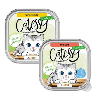 Catessy Junior em molho - Pack misto