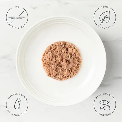 Encore Cat Pouch in Broth 10 x 50g - Fish Selection (3 Varieties)