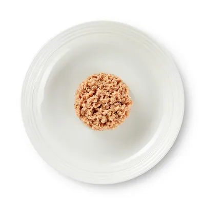 Close-up of shredded meat on a white plate, showing the product’s texture.