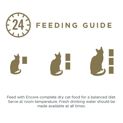 Guide d’alimentation : trois silhouettes de chats avec une, deux ou trois portions représentées à côté de chaque chat. Texte anglais non traduit sur l’alimentation et l’eau.