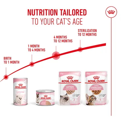 Royal Canin products for cats: Babycat Milk (birth to 1 month), kitten food (1–4 months, 4–12 months), Kitten Sterilised (sterilisation up to 12 months).