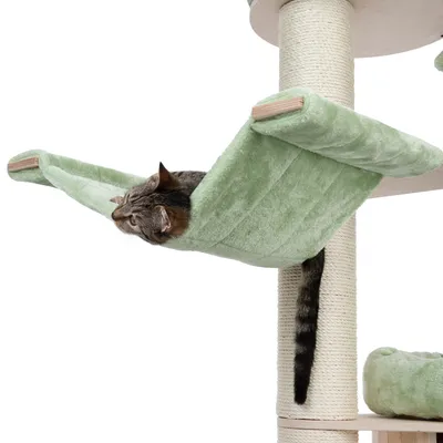 Cat tree with green hammock made of soft fabric, cat lying relaxed inside. Sisal-wrapped post visible.