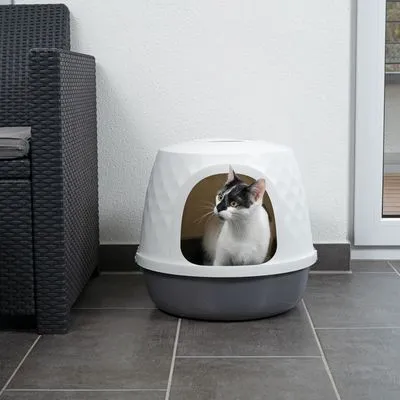Chat blanc et noir assis dans une maison de toilette pour chat en plastique gris et blanc, forme arrondie, entrée large à l’avant. Mobilier d’intérieur visible en arrière-plan.