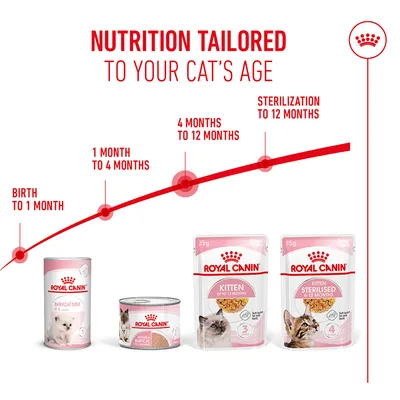 Royal Canin products for cats by age: Babycat Milk birth to 1 month, Mother & Babycat 1–4 months, Kitten 4–12 months, Kitten Sterilised up to 12 months.