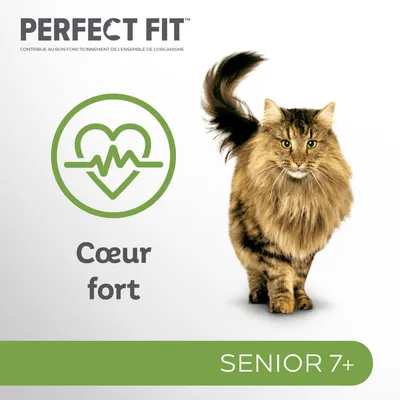 Perfect Fit, contribue au bon fonctionnement de l’ensemble de l’organisme. Cœur fort. SENIOR 7+. Chat à poils longs visible à droite.
