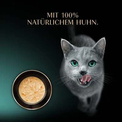 Multipack Sheba Classic Soup Frischebeutel 40 x 40 g