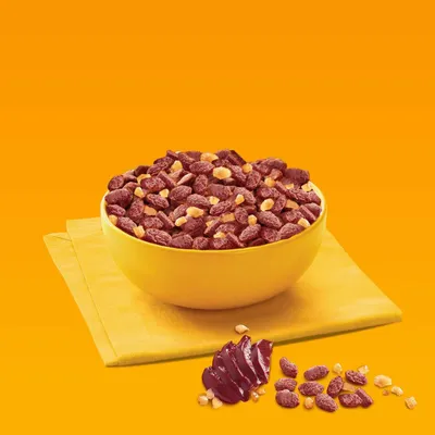 Bol jaune rempli de croquettes brunes et morceaux clairs, posé sur une serviette jaune. Devant le bol, tranches de viande foncée et croquettes avec morceaux clairs visibles.