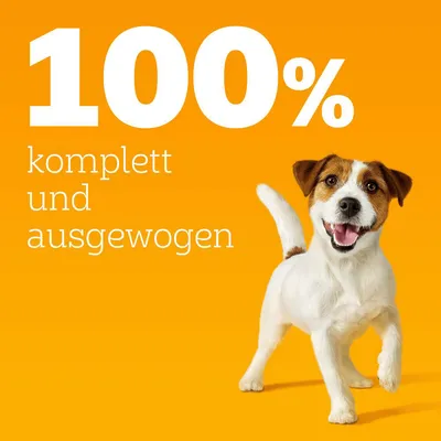 100% komplett und ausgewogen.