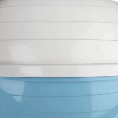 Primo piano di un contenitore in plastica bianco e blu con superficie a righe. Nessuna altra informazione visibile.