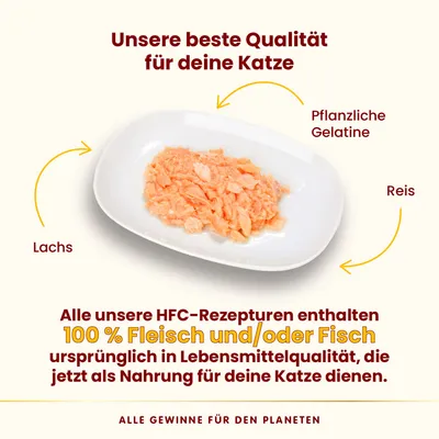 Unsere beste Qualität für deine Katze: Lachs, pflanzliche Gelatine und Reis. HFC-Rezepturen mit 100% Fleisch und/oder Fisch in Lebensmittelqualität als Nahrung für Katzen.