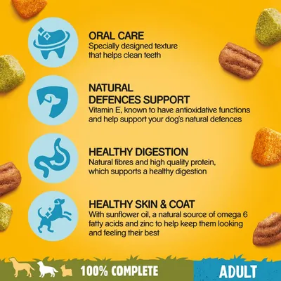 ORAL CARE, NATURAL DEFENCES SUPPORT, HEALTHY DIGESTION, HEALTHY SKIN & COAT. 100% COMPLETE. ADULT. Text på engelska om hundfoder och dess egenskaper.