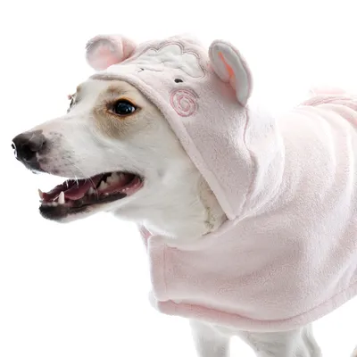 Dog wearing a pink hooded costume with sheep motif and ears. Product shows clothing for pets.