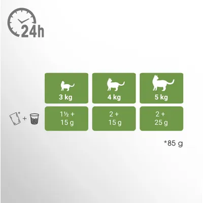 Perfect Fit Senior 7+ Pouches – Mixed Pack in Sauce