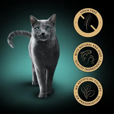 Product features: grain free, with natural and high quality ingredients, no artificial colours or preservatives.