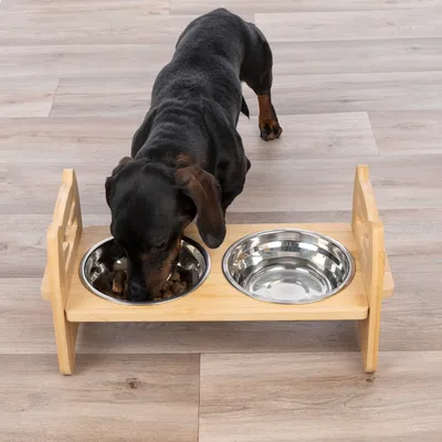 Hund frisst aus erhöhtem Futterstation mit zwei Edelstahlnäpfen und Holzgestell, geeignet für Wasser und Futter.