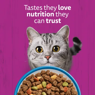 Text in image: Tastes they love, nutrition they can trust. Pictured are a grey cat and a bowl with dry food.