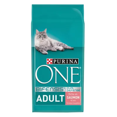 Sachet de croquettes pour chat adulte Purina ONE Bifensis Dual Defense, riche en saumon et en céréales complètes. Chat gris illustré sur l’emballage.