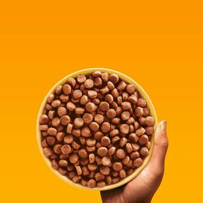 Hand met een gele kom gevuld met ronde, bruine brokjes dierenvoer tegen een effen oranje achtergrond. Merknaam of productinformatie niet zichtbaar.