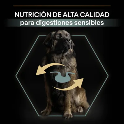 NUTRICIÓN DE ALTA CALIDAD para digestiones sensibles, texto sobre imagen de perro grande con icono de estómago y flechas en el pecho.