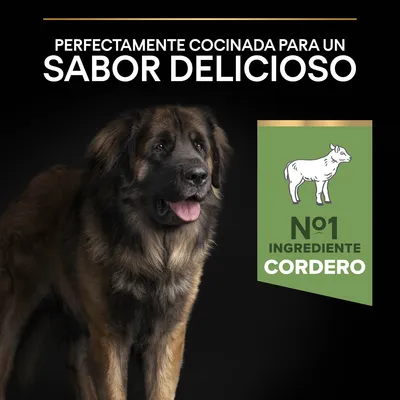Texto: Perfectamente cocinada para un sabor delicioso. Nº1 ingrediente cordero. Imagen de un perro grande y etiqueta verde con dibujo de cordero.