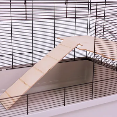 Rampa in legno e piattaforma in una gabbia con pareti a griglia metallica, adatta per piccoli animali.