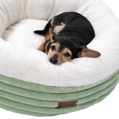 Hund liegt in einem grünen und weissen Kuschelbett mit Modern Living Logo auf der Vorderseite.