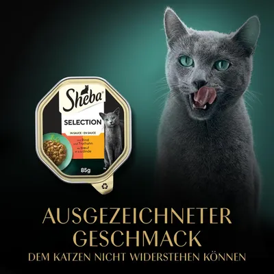 Sheba Selection in Sauce mit Rind und Truthahn, 85g. Ausgezeichneter Geschmack, dem Katzen nicht widerstehen können.