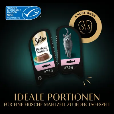Sheba Perfect Portions 96 x 37,5 g - Pastete mit Lachs Sheba Perfect Portions 96 x 37,5 g - Pastete mit Lachs