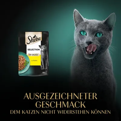 Sheba Selection in Sauce mit Huhn, 85g. Ausgezeichneter Geschmack, dem Katzen nicht widerstehen können.