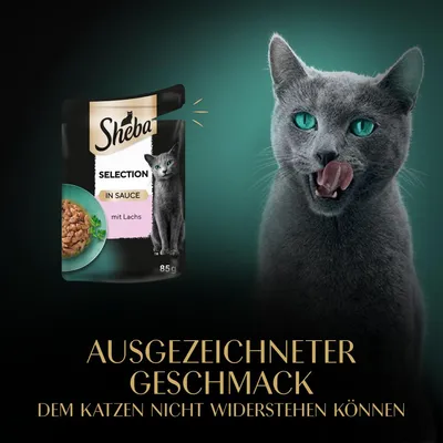 Sheba Selection in Sauce mit Lachs, 85g. Ausgezeichneter Geschmack, dem Katzen nicht widerstehen können.
