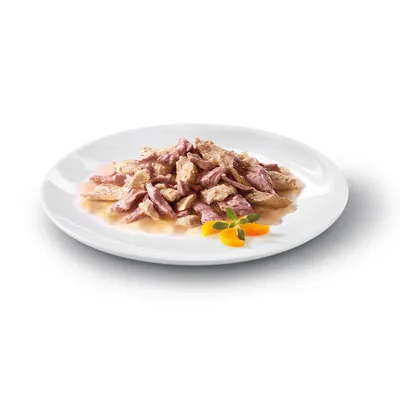 Serviervorschlag: Feuchte Fleischstreifen in Sauce auf weissem Teller, dekoriert mit Karottenscheiben und Kräuterzweig.