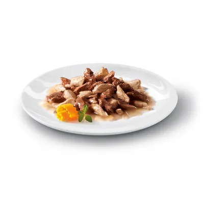 Nahaufnahme eines Tellers mit saftigen Fleischstücken in Sosse, dekoriert mit Kürbis und Kräutern.