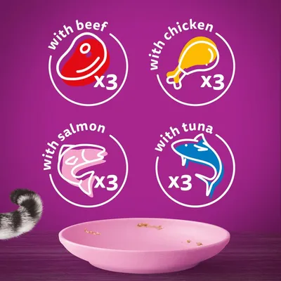 Product contains 3 portions each with beef, chicken, salmon and tuna, shown by icons and text on a purple background above an empty pink dish.
