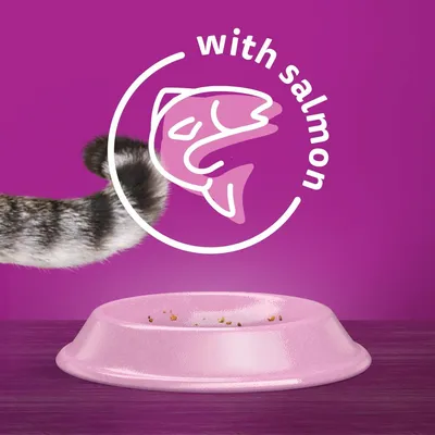 Empty pink pet food bowl with a striped tail and graphic text stating 'with salmon', indicating product contains salmon.