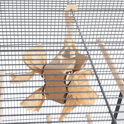 Jouet suspendu en carton et corde naturelle, accroché à la grille d'une cage pour oiseaux. Quatre extrémités en papier froissé visibles, perchoirs en bois en arrière-plan.