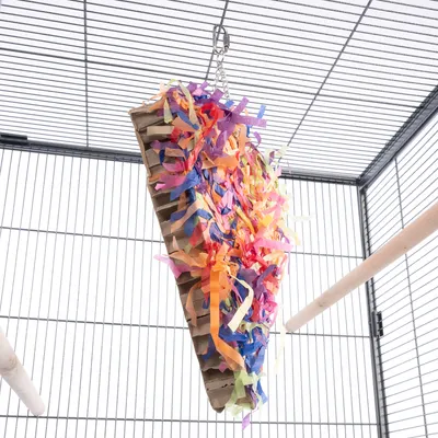 Jouet suspendu en carton ondulé avec bandes de papier coloré, accroché par une chaîne métallique à l’intérieur d’une cage pour oiseaux ou petits animaux.