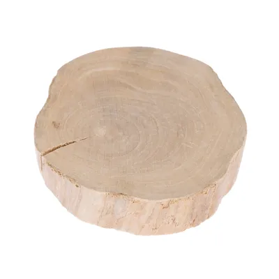 Rondin de bois naturel, coupe transversale montrant les cernes et une fissure visible sur le côté gauche. Matière : bois.